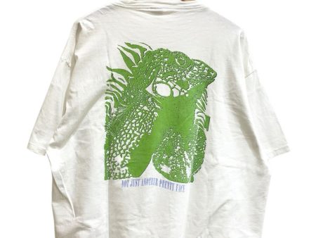 [Pre-owned] [Vintage Clothes] Patagonia 90 s Iguana T-shirt Online now