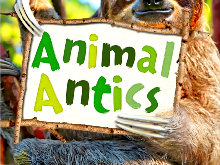 Animal Antics Supply