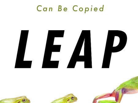 Leap: How to Thrive in a World Where Everything Can Be Copied For Sale