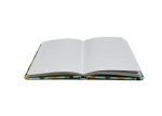 Citrus Satin Journal Cheap