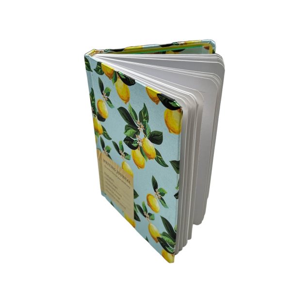 Citrus Satin Journal Cheap