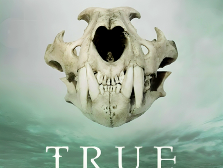 True North (True Born, 2) Hot on Sale