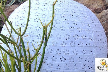 Round Eyelet Paper Lanterns Sale