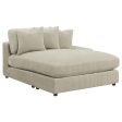 Blaine Sectional Collection Fashion