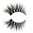 Toxiic Brat Allsorts Half Lash Online now